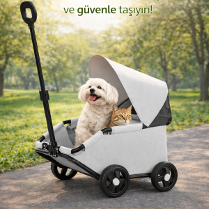 NUNBELL ELIZA TASIMA ARABASI