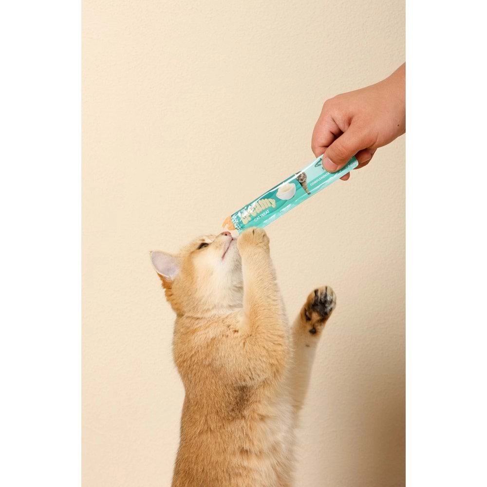 M-PETS CREAMY SOMON BALIKLI BİFTEKLİ KEDİ ÖDÜLÜ 4X15GR
