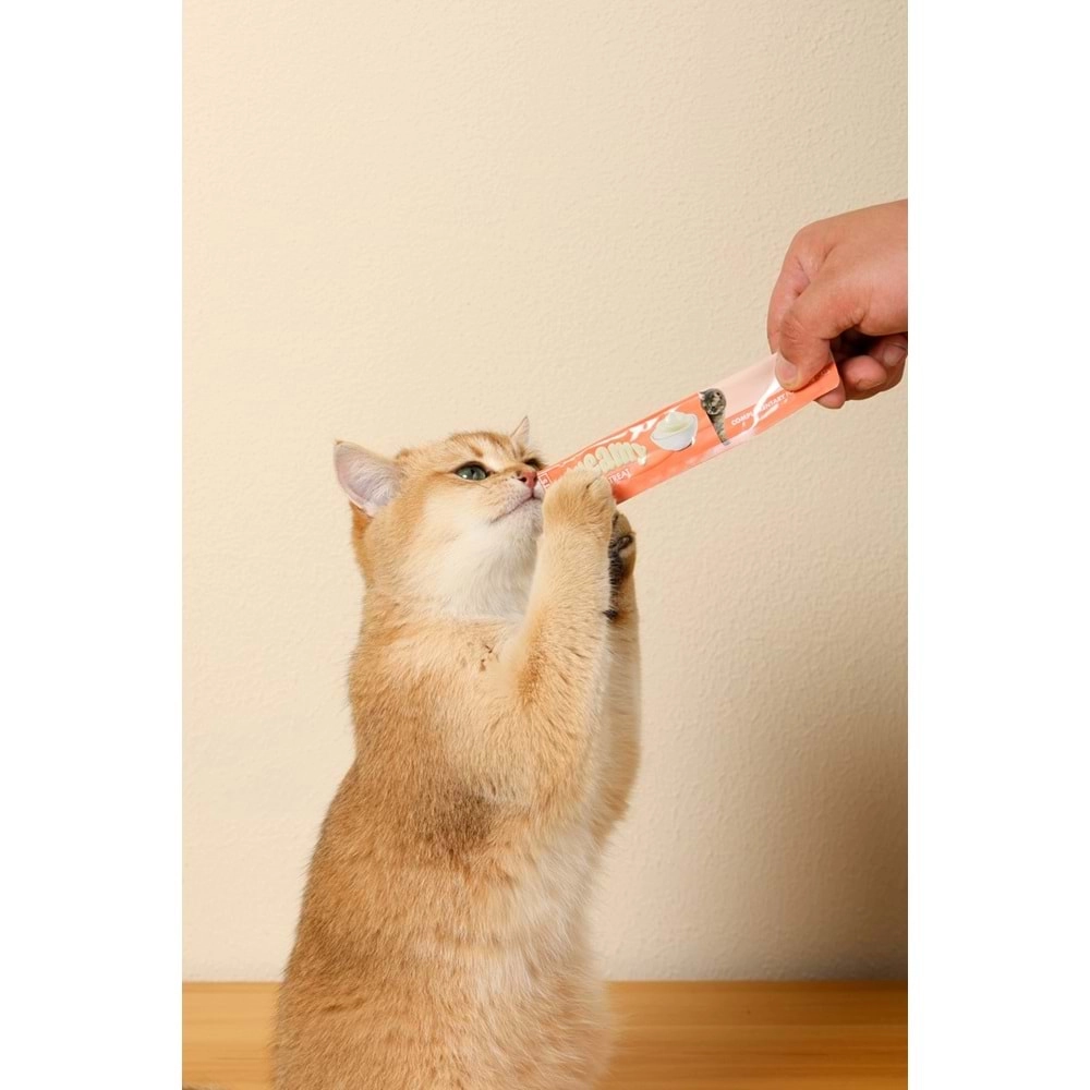 M-PETS CREAMY SOMON BALIKLI KEDİ ÖDÜLÜ 4X15GR