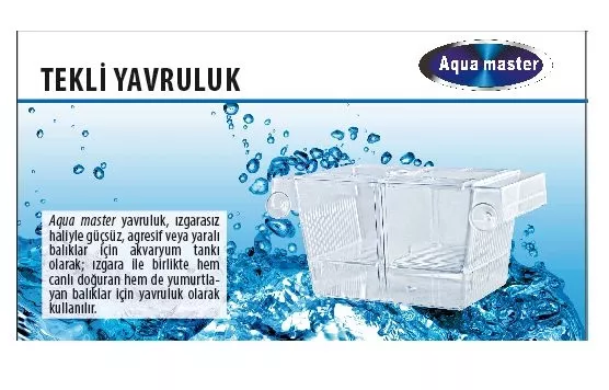 TİSERT TEKLİ YAVRULUK