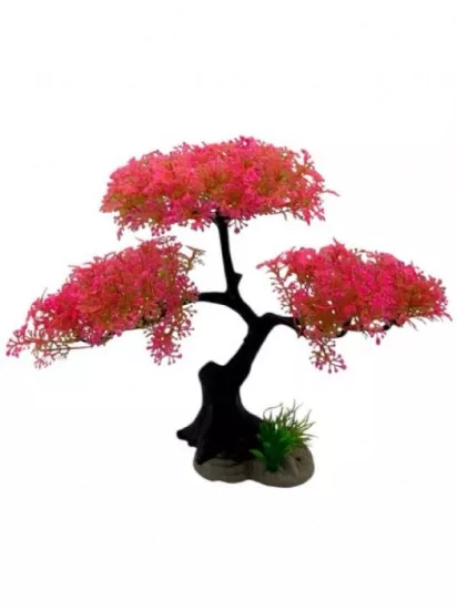 HAS 4000089 BONZAİ BİTKİ KIRMIZI