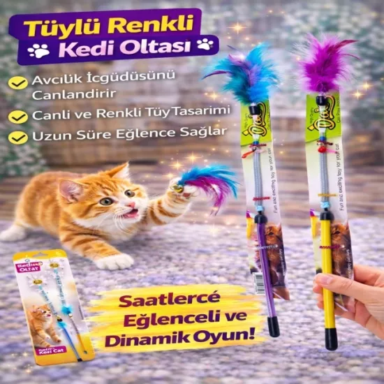Yaylı Kedi Oltası Metal Yaylı | Püsküllü İnteraktif Kedi Oyuncağı | Eğlence ve Egzersiz Çubuğu